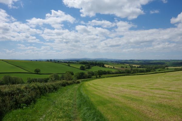View of the landscape we will walk through